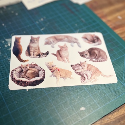 Cat stickers