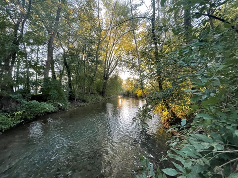 Sacony Creek