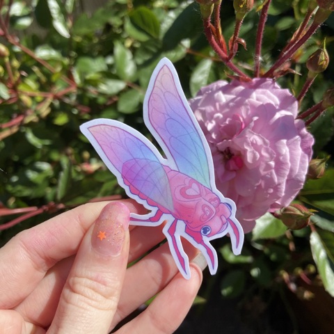 Rainbow Cicada Sticker | Lovebug Sticker - Ghoulie's Ko-fi Shop - Ko-fi ...