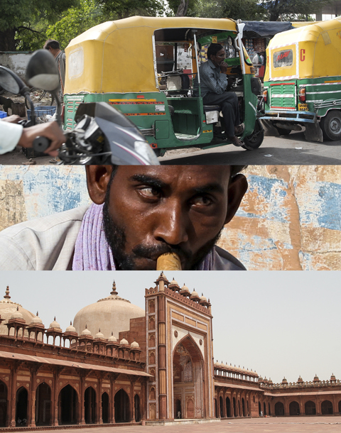 Jaipur’s Cobra Street Dazzles India