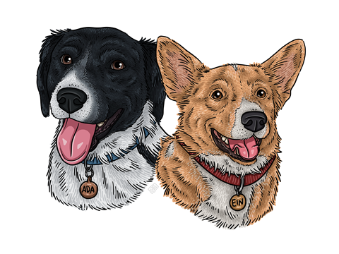 Ada & Ein