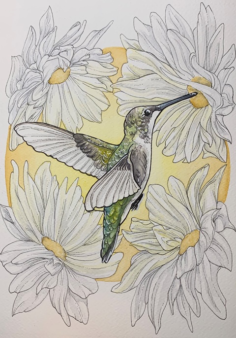 Hummingbird in Bloom