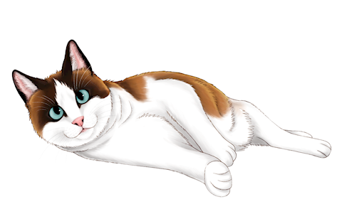 Kitty illustration