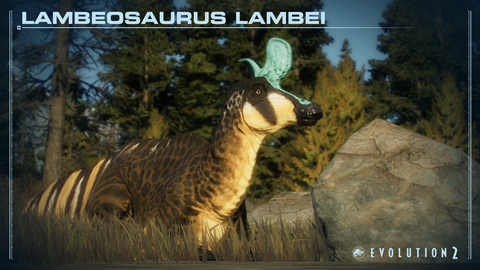 Old Lambeosaurus lambei