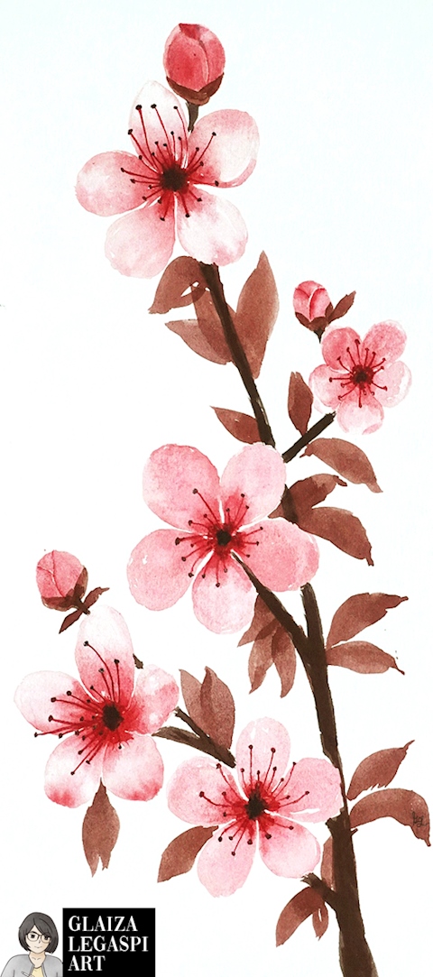 Cherry Blossoms Watercolor Painting