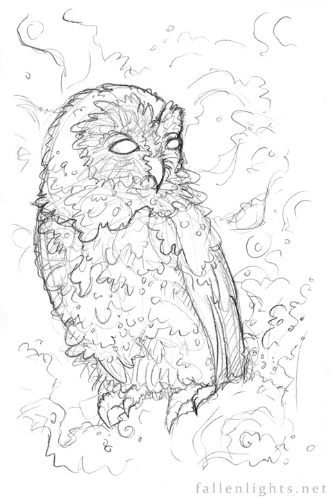 Tawny Owl Coloring Page