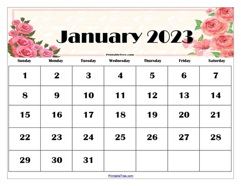 January 2023 Calendar Printable PDF
