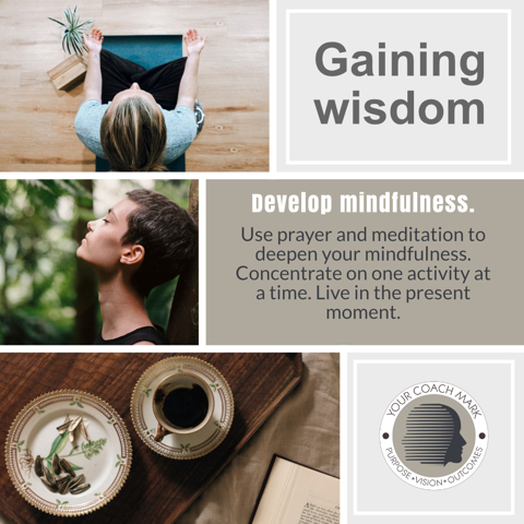 Gaining wisdom through mindfulness