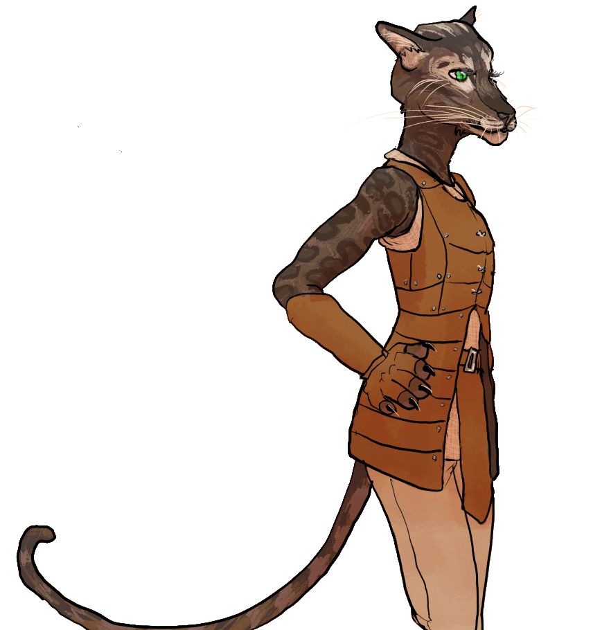 tabaxi fighter