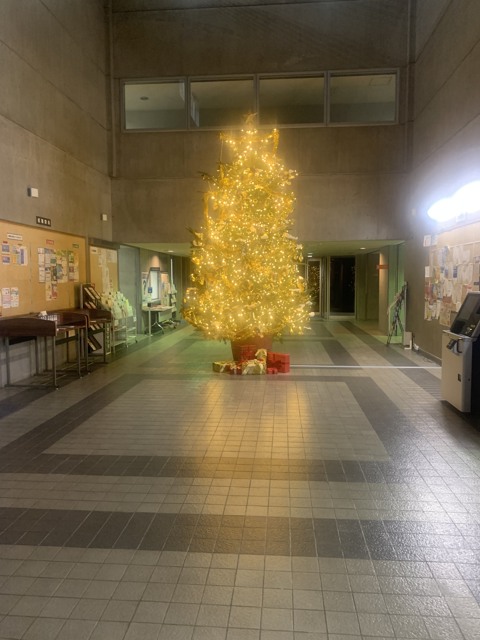 Christmas Tree At Japanese Universtiy