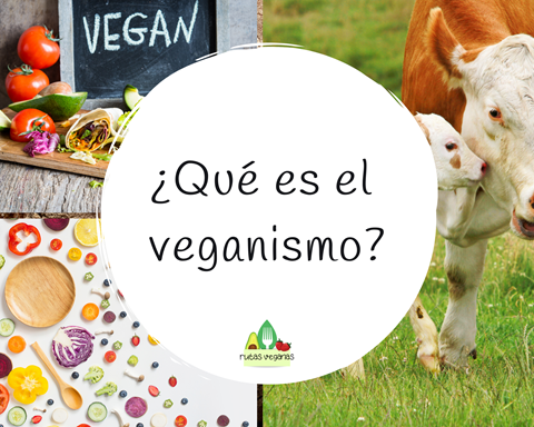 ¿Que es el veganismo?