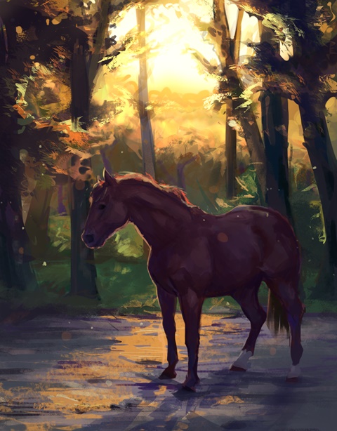 Horse in the wood