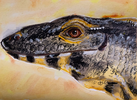 Monitor Lizard, Morgan Want (Me), Watercolor, 2023