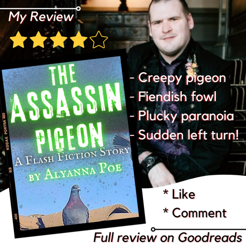The Assassin Pigeon