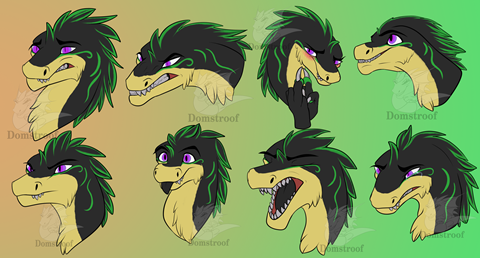 Commission Expressions