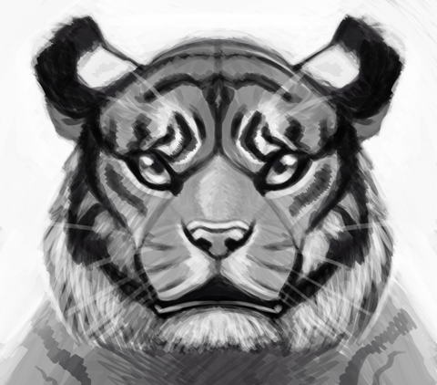 Practice Tiger Sketch