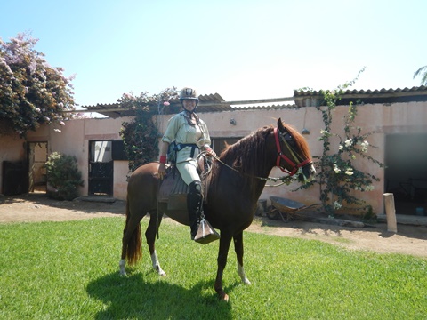 In Jetequepeque, on a stud Paso Llano
