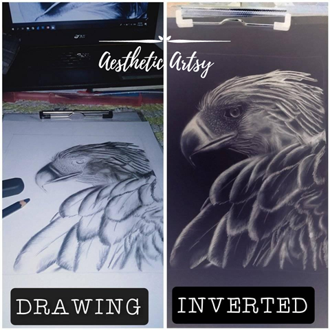 Inverted Drawing 