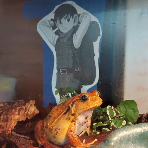 A Minor Update to Lenny's Tank Decor
