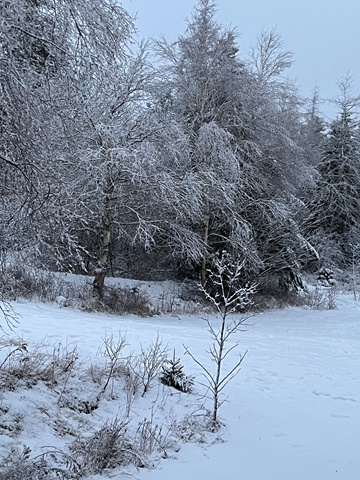 Winter’s Time