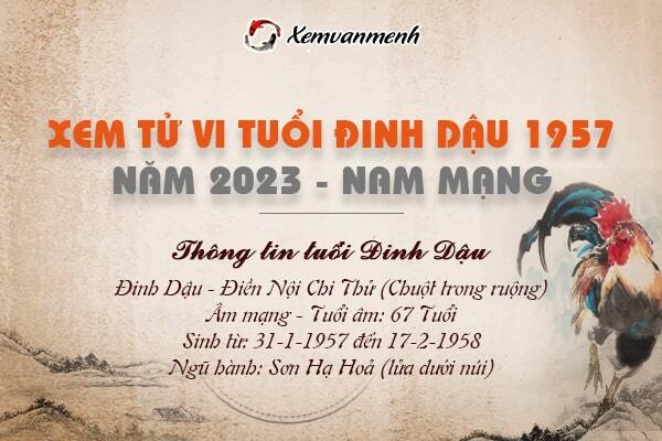 Tử vi tuổi Dậu 1957 năm 2024 nam mạng: Chi tiết và đầy đủ nhất