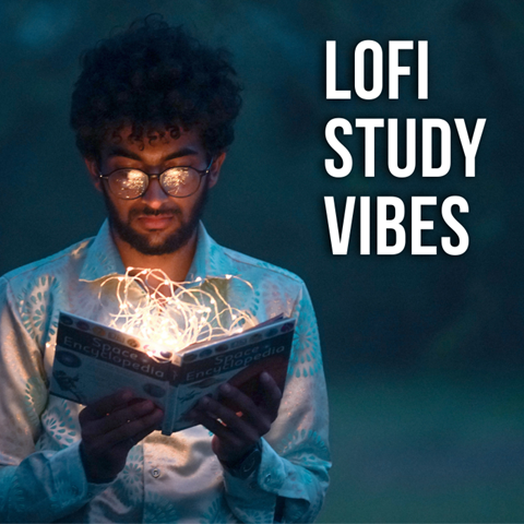 LoFi Study Vibes Playlist by LFSM