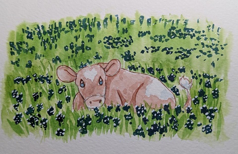 Pink Cow in Bluebonnet Field 