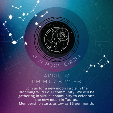 Moon Circle: April 19th at 6pm MT / 8pm EST ✨