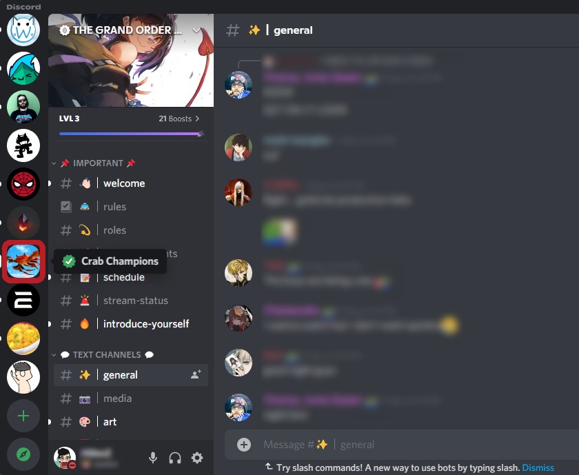 servidor discord