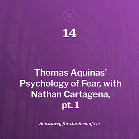 Thomas Aquinas' Psychology of Fear, pt 1