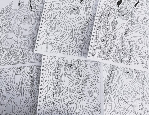 Horse Colouring Pages (Set Of Six)