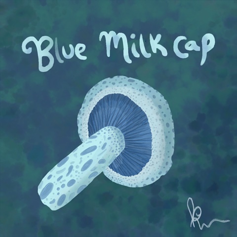 Funguary XII - Blue Milk Cap