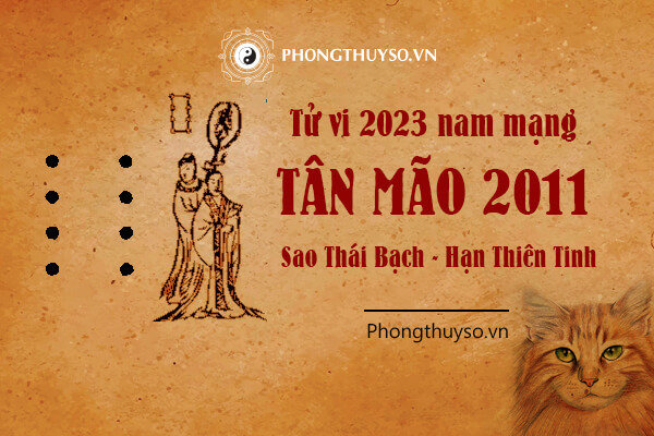 Tổng Quan Tử Vi Tuổi Ất Mão Nam Mạng Năm 2023