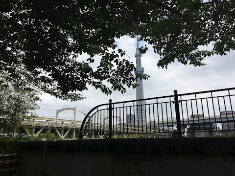 Tokyo Skytree Secluded