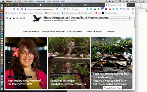 A screenshot of my blog site