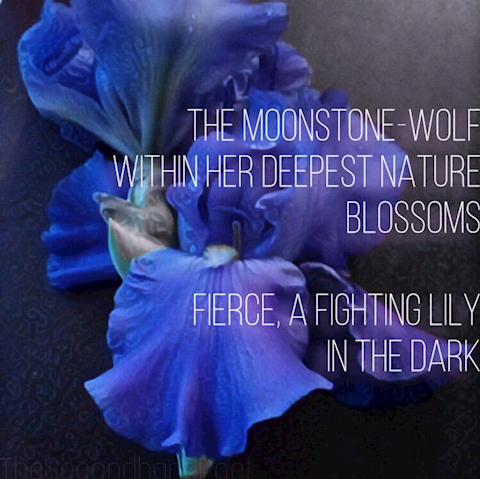 Moonstone Wolf
