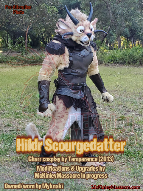 Hildr (Charr) Alterations Coming Soon!