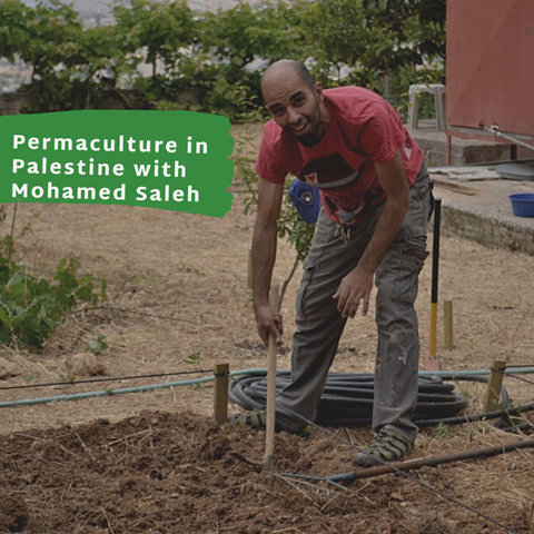 New episode about permaculture in Palestine 