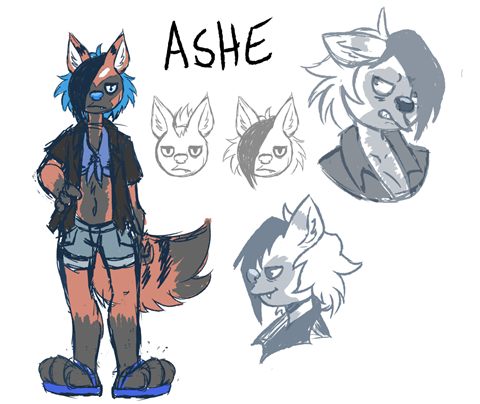 Ashe Concept