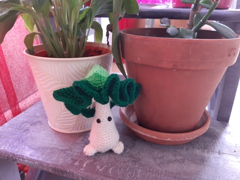 Champignome "Mojito"