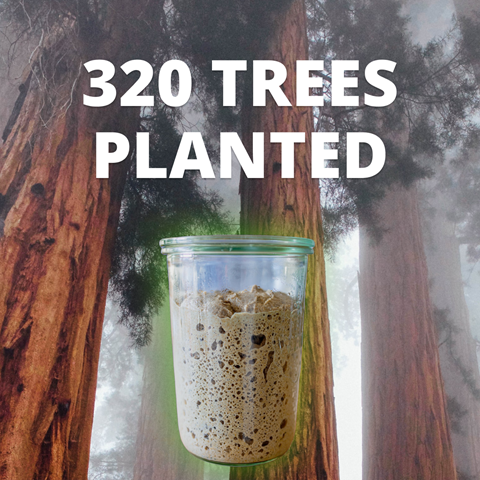320 trees planted, thanks to you!