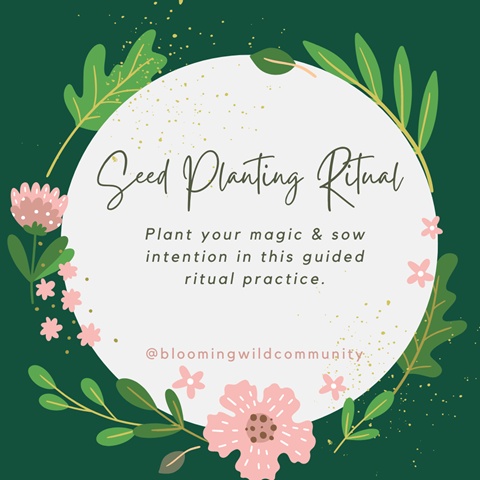 Seed Planting Ritual Guided Practice Recording