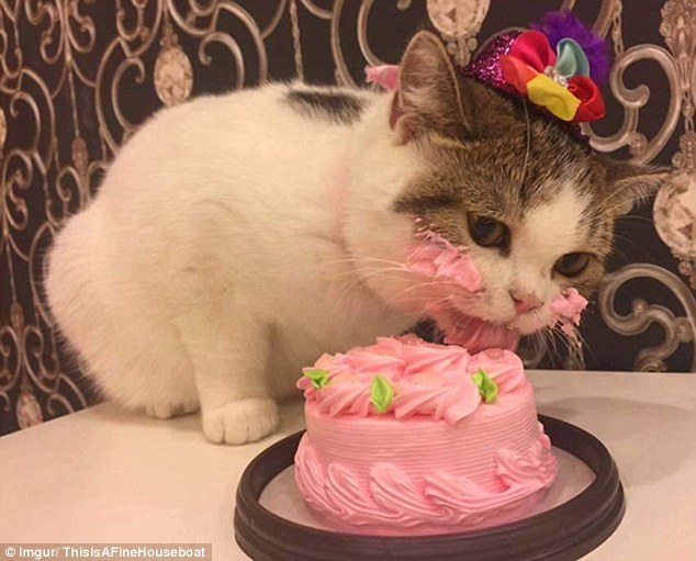 Birthday Book