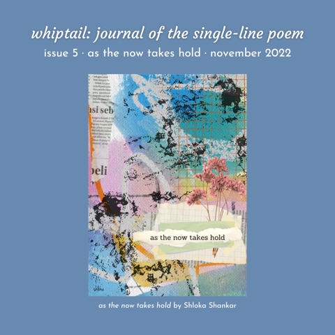 whiptail issue 5