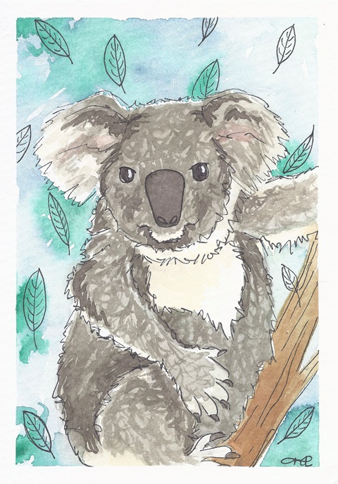 Kiki the Koala