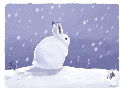 Snowshoe hare | Digital Painting