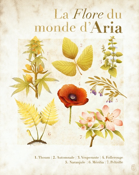 Planche Botanique du Monde d'Aria