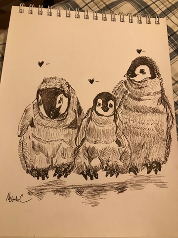 Penguin family 