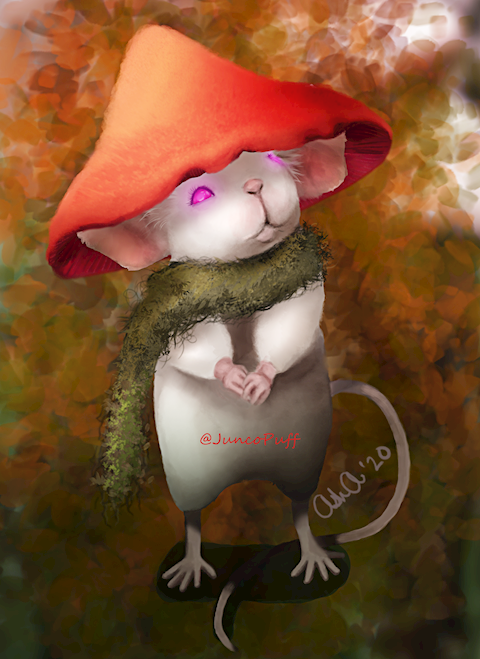 Mitty the mousekin wizard
