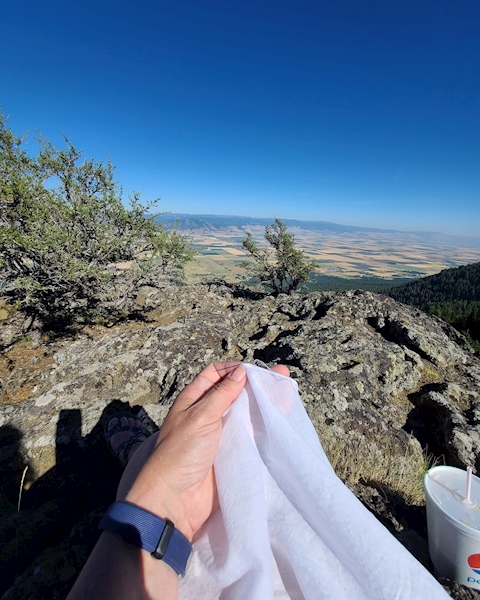 Sewing with a view. 